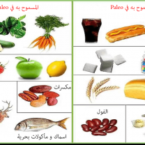 حمية Paleo