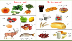 حمية Paleo