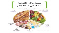 حمية داش